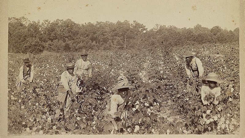 Slavery in Savannah Lauri Lyons